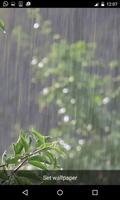 Rain Live Wallpapers الملصق