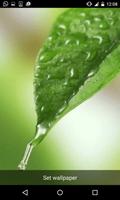 Rain Live Wallpapers تصوير الشاشة 1