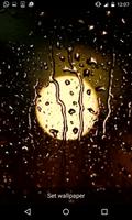 Rain Live Wallpapers تصوير الشاشة 3