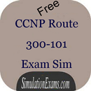 APK CCNP Route 300-101 ExSim-Free