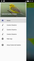 Canto de Passaro Pomba Amargosa 海報