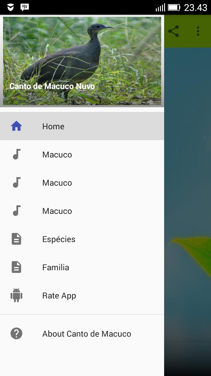 Aplicativo De Baixar Canto De Passarinho Canto De Passaros Silvestres Para Android Apk Baixar