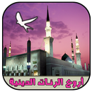 APK رنات و نغمات إسلامية (بدون نت)