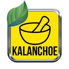 Kalanchoe La Medicina Natural APK download