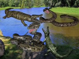 برنامه‌نما Anaconda Crocodile Battle عکس از صفحه