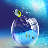 एक्वैरियम वॉलपेपर