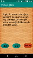 Delikanlı Sözler スクリーンショット 2