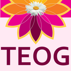 TEOG Puan Hesaplama icon