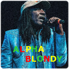 Alpha Blondy ไอคอน