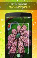 Flowering Plant Ideas syot layar 3