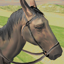Horse Simulator Games 2017 APK