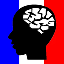 Quiz 100% Français APK