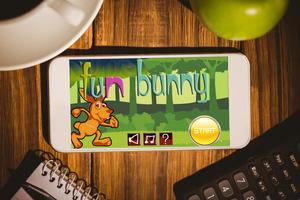 bunny fun dash poster