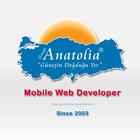 Anatolia Web icône