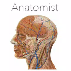 Descargar XAPK de Anatomist - Anatomía Cuestiona