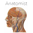 Anatomist icon