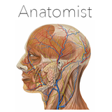 Anatomist icône