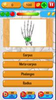 Anatomy Quiz تصوير الشاشة 2
