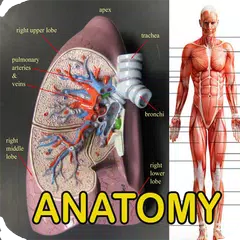 die Anatomie des menschlichen Körpers APK Herunterladen