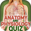 Human Body Anatomy Quiz