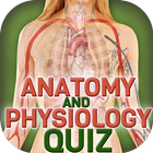 Human Body Anatomy Quiz আইকন