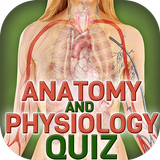 Human Body Anatomy Quiz simgesi