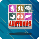 Quiz sur l'anatomie humaine APK