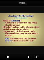 Anatomy And Physiology Definition Affiche
