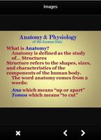 Anatomy And Physiology Definition poster