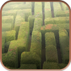Action Maze APK