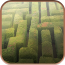 Action Maze APK