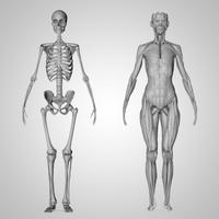 Anatomie 3D Photos capture d'écran 3