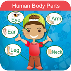 Learn Body Parts: Body Parts Photo & Pronunciation icône