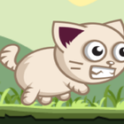 Angry Cat ikon