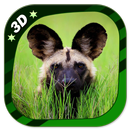 Wild Dog Free APK