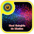 Musica de Noel Schajris