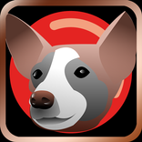 Dog Games