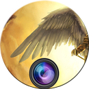 Angel Wings Photo Frames Heaven APK