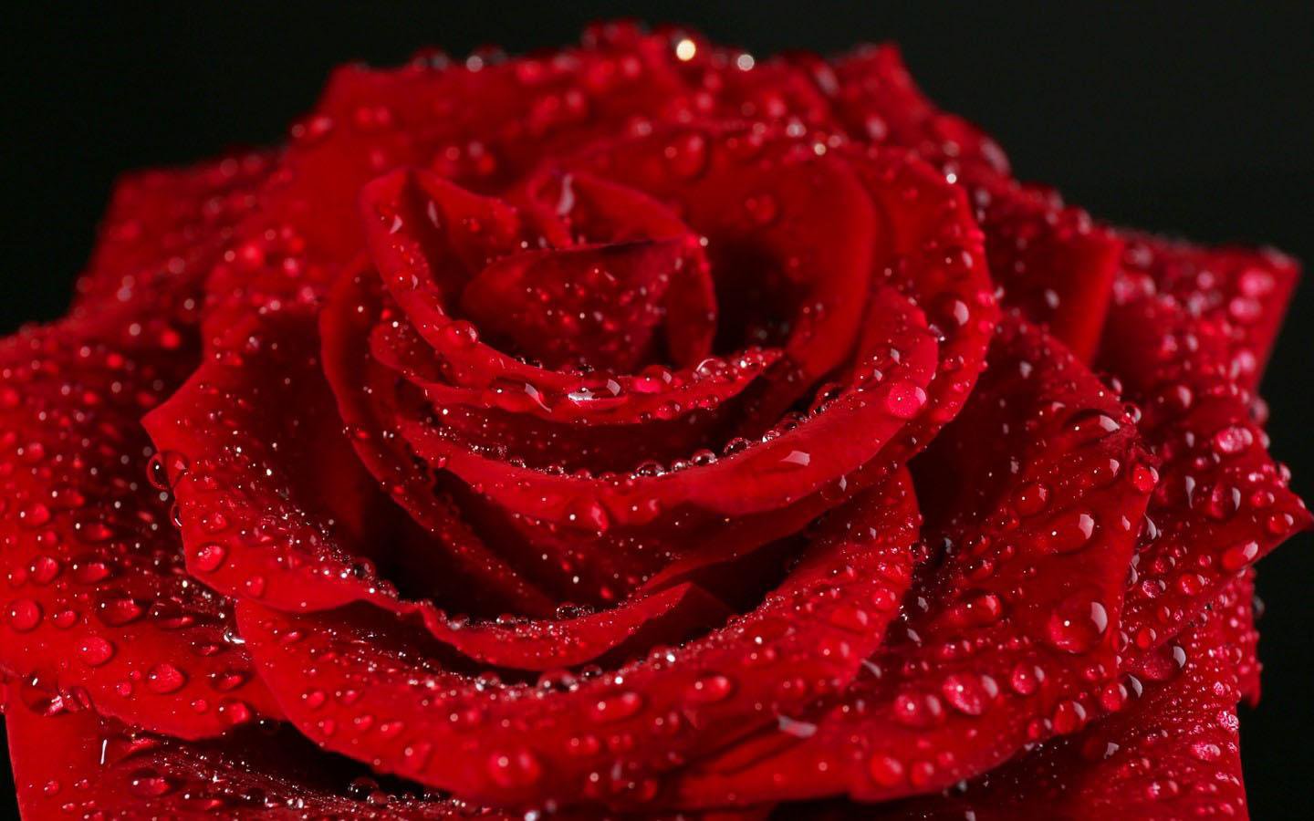 510 Koleksi Romantic Valentine Wallpaper HD Terbaru