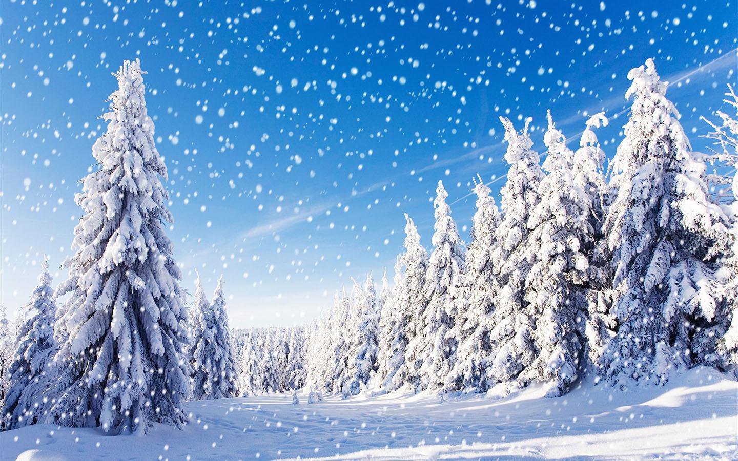 Romantic Snow Wallpaper for Android APK Download