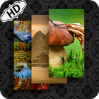 HD Wallpaper Nature 10000+ icono