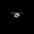 Angelissta 2.0