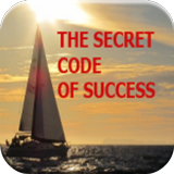The Secret Code of Success PDF icône