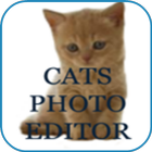 Cats Photo Editor icône