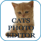 Cats Photo Editor icono
