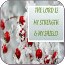 APK Bible Quotes on Strength