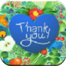 Thank You Quotes APK