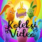 Koleksi Video Sunny Bunnies আইকন