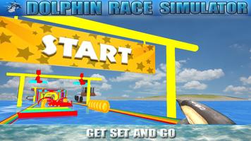 Dolphin Race Simulator plakat