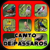Canto de Passaros Brasil ポスター